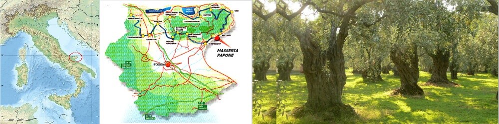 Dove siamo: Gargano 2 olio extravergine di oliva del Gargano agricola Cafarelli
