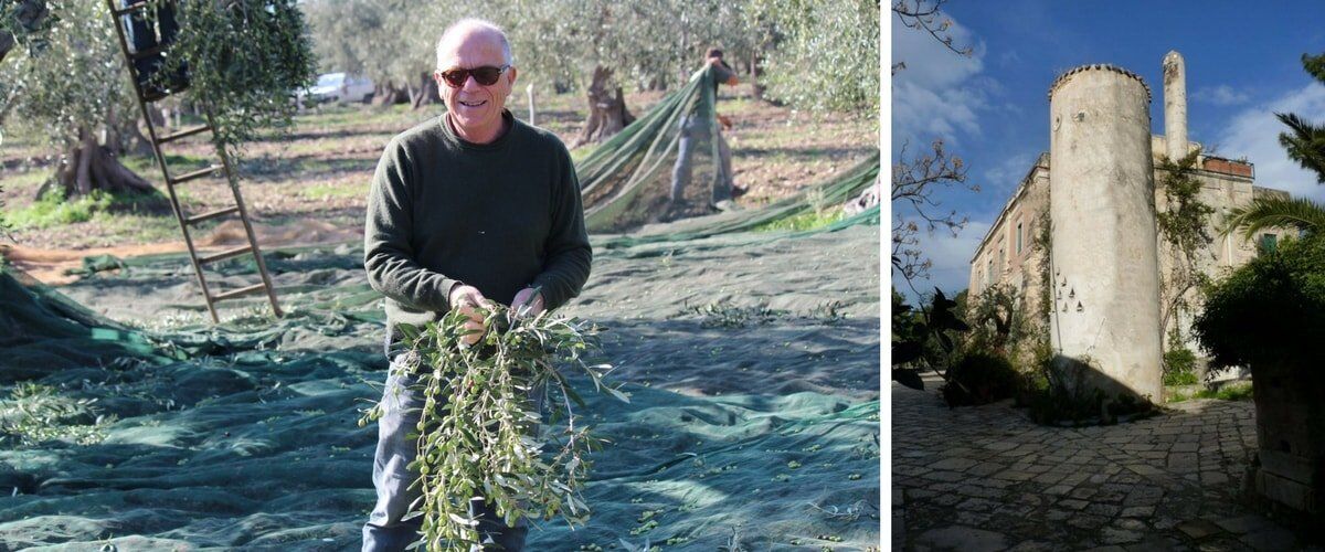 Chi siamo: Masseria Papone 1 chi siamo Masseria Papone olio extravergine di oliva 100% pugliese da tre generazioni