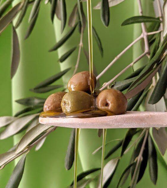 Chi siamo: Masseria Papone 2 olio extravergine di oliva pugliese monovarietale Ogliarola Garganica Masseria Papone