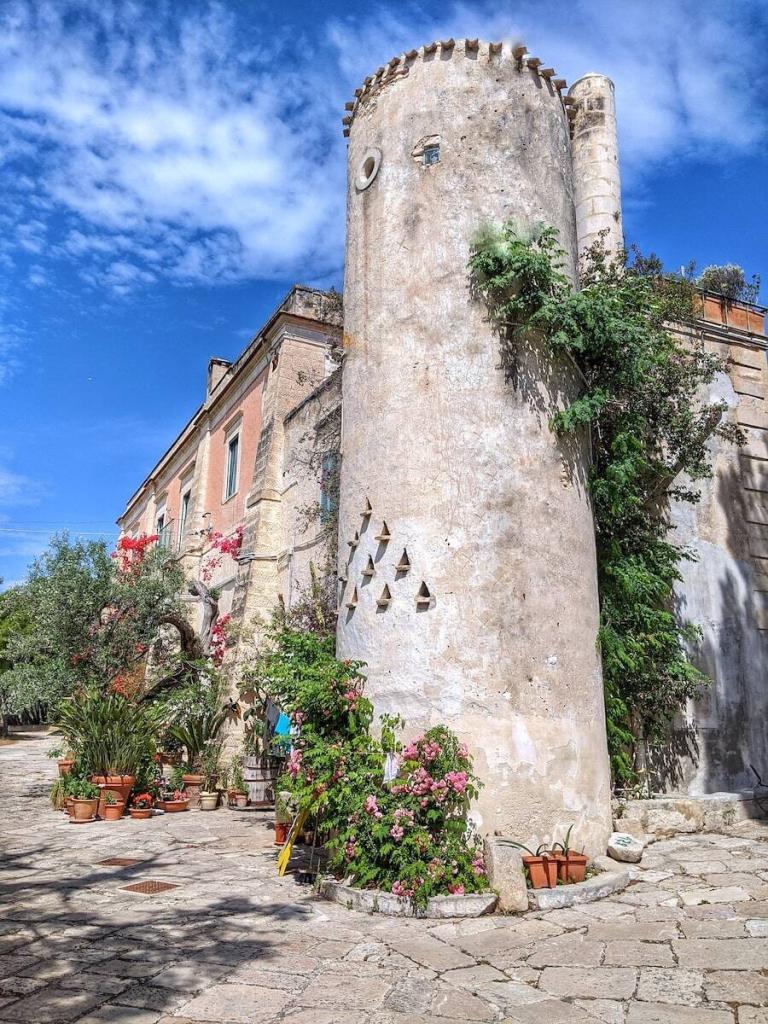 Il miglior olio del Gargano: come riconoscerlo (e perché viene dal Gargano) 4 Comprare il miglior olio del Gargano in Masseria Papone